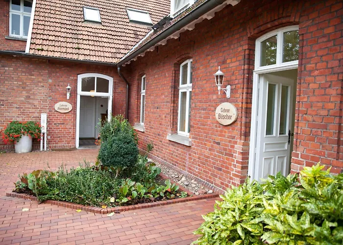 Alte Schule - Rose *